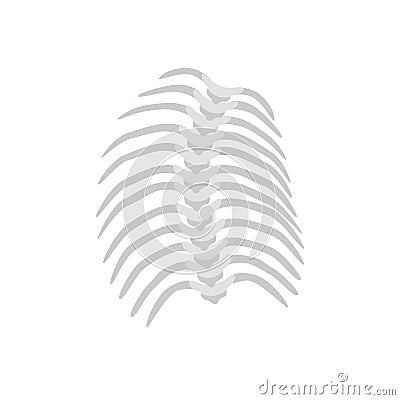 Thoracic Scoliosis on the thoracic spine and curved backbone concept vector illustration in flat design isolated on Vector Illustration