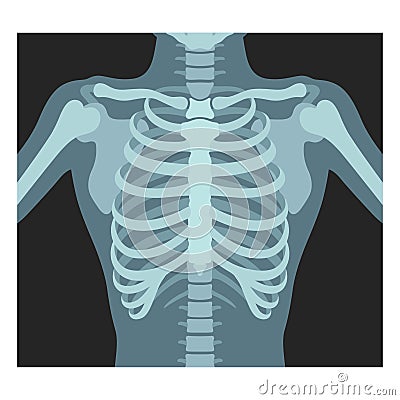 Thorax x-ray. Lungs radiological control. Radiography of chest, ribs., torso. Fluorography. Vector Illustration