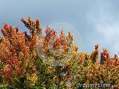 Thornhill begin of autumn 2017 Stock Photo