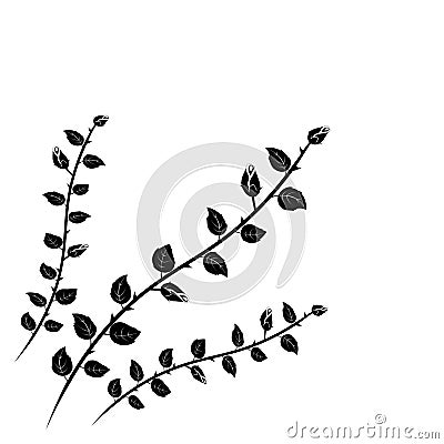 thorny branches with leaves and roses buds, black elegent classical decorative corner decoration, vector illustration Vector Illustration