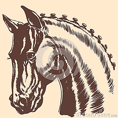Thoroughbred horse head profile racing exhibition mane Stock Photo