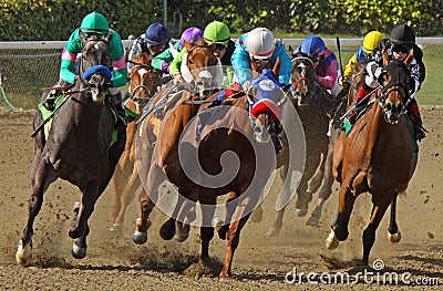 Thoroughbred Horses Head Down the Homestretch Editorial Stock Photo