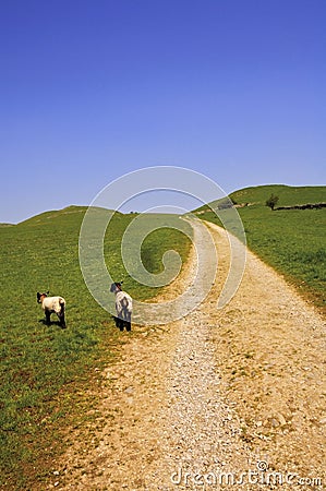 thorpe common thorpe village peak district national park derbysh Stock Photo