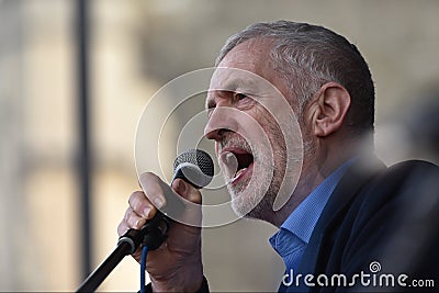 Thousands March in Support of the NHS Editorial Stock Photo