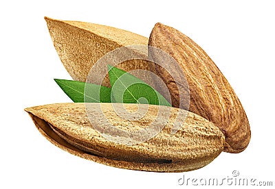 Three Almond isolated closeup with leaf as package design element on white background. Group Nut macro concept Stock Photo