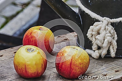 Three apples decoratively lying on a wooden bench Stock Photo