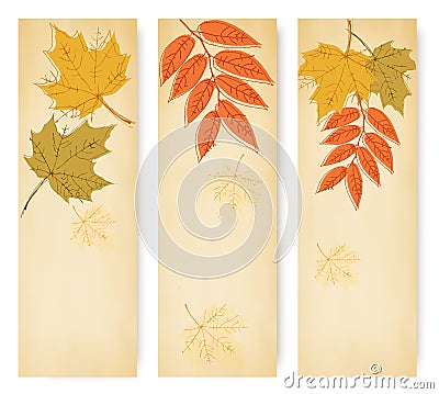 Three autumn banners with colorful leaves Vector Illustration