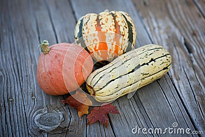 Three Autumn Squash on a Rustic Wood Table Stock Photo