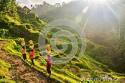 Ubud, Bali - July 29, 2016. Showing traditional Balinese women`s ceremonial clothing and baskets of Hindu temple offerings. Editorial Stock Photo