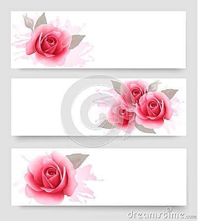 Three banners with pink roses. Vector Illustration