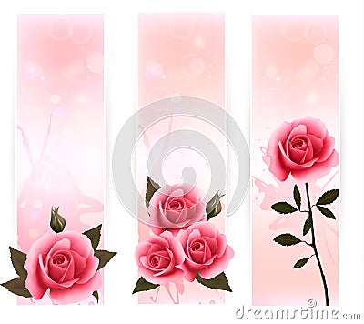 Three banners with pink roses. Vector Illustration