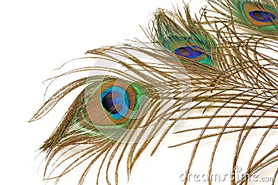 Three beautiful peacock feather Stock Photo