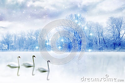 Three swans with romantic winter landscape in fantastic style Stock Photo