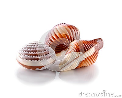 Three Belgian seashells chocolate candies close-up isolated on white background Stock Photo