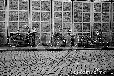 Three Bikes in Amsterdam Stock Photo