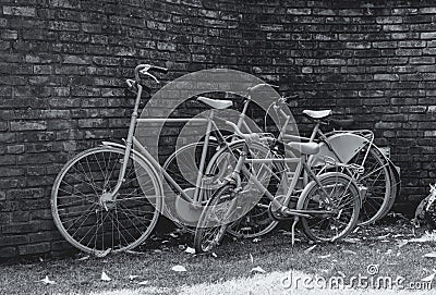 Three bikes in front of a stone wall Stock Photo