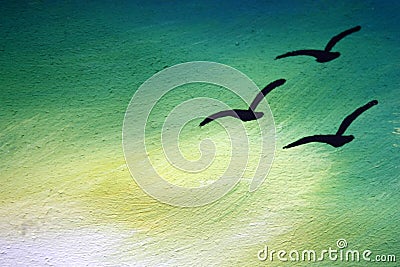 Three birds flying in the sky, painted with flowers in a cloth with a cloth. Place for inscription Cartoon Illustration