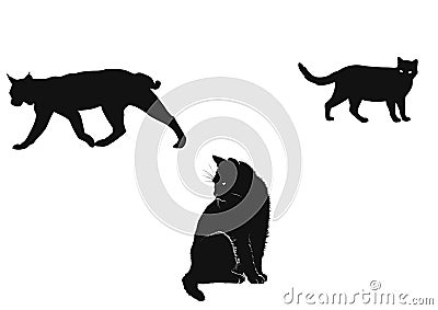 Black cat illustration vectorial Cartoon Illustration