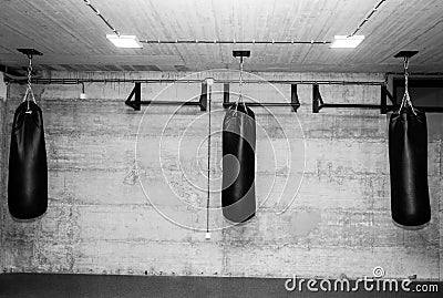 Three black punching bags in the empty boxing gym with naked grunge wall in background black and white Stock Photo