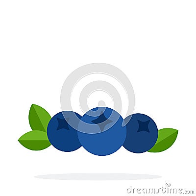 Three blueberries with the leaves vector flat material design isolated object on white background. Vector Illustration