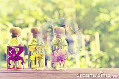 Three bottles of herbal essences with beauty orchid on nature b Stock Photo