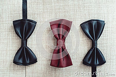 Three bow ties, two black and one red. Team work, career, hipster, wedding concept. Stock Photo