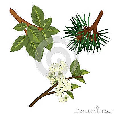 Three Branches Vector Illustration