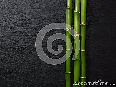 Three branches of bamboo. Stock Photo