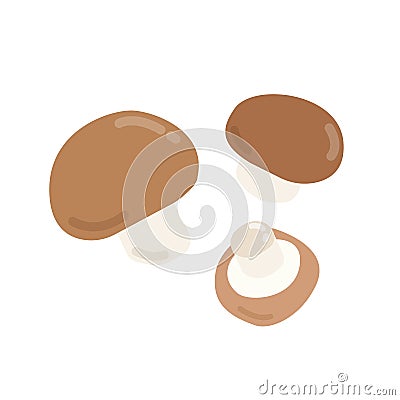 Three brown mushrooms graphic illustration Vector Illustration