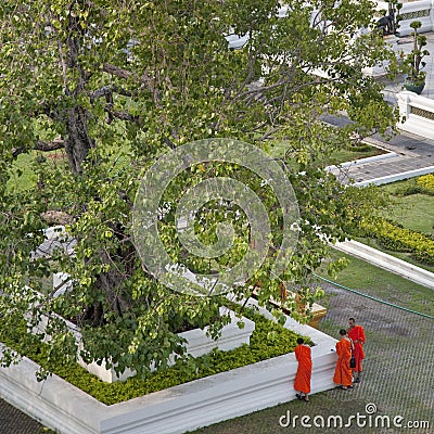 Three Buddhist Monks at Wat Arun, Bangkok, Thailand Editorial Stock Photo