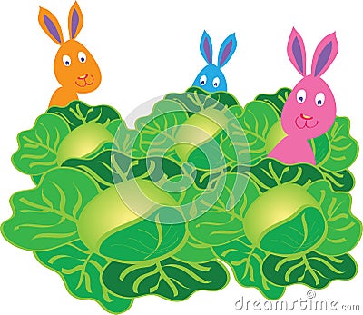 Three bunny rabbits in a cabbage patch Stock Photo