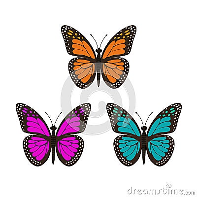 Three butterflies set. Vector Illustration