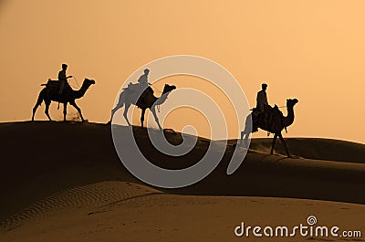 Three Camels And Jockeys Silhouetted Against The D Stock Photo