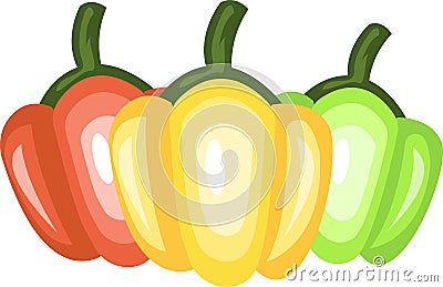 Three Capsicums vector color illustration Vector Illustration