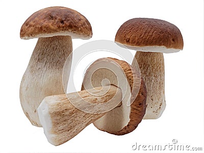 Three ceps Stock Photo