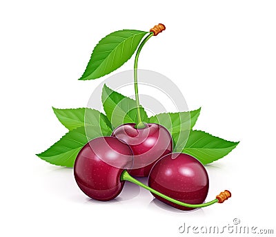 Three Cherries with green leaf. Fresh, juicy, ripe fruit. Vector Illustration