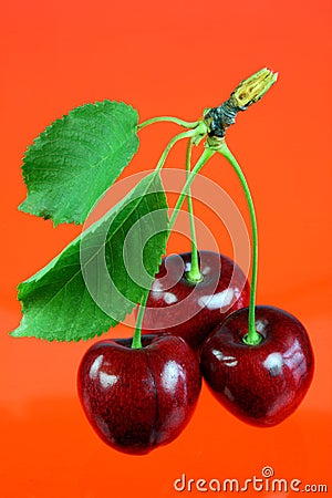 Three cherries with leafs. Stock Photo