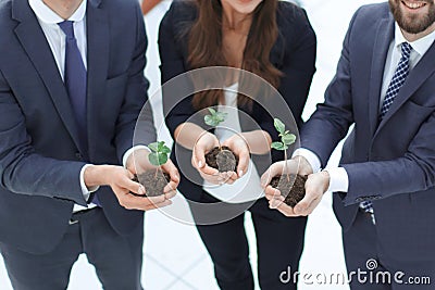 Three colleagues hold young shoots Stock Photo