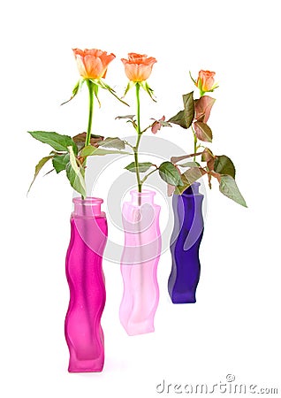 Three colored vases with roses Stock Photo