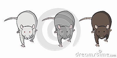 Three colorful rats on white background. Set of different rats Vector Illustration