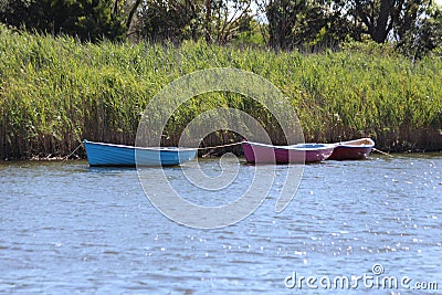 Three Colourful Canoes on the Lake Stock Photo