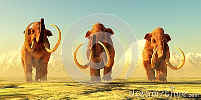 Three Columbian Mammoths Stock Photo