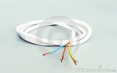 Three-core cable in white isolation on a gray background Stock Photo