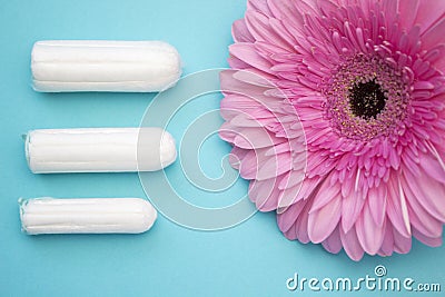 Three cotton tampons for menstrual blood period and pink gerbera flower. Woman hygiene conception photo. Soft tender protection fo Stock Photo