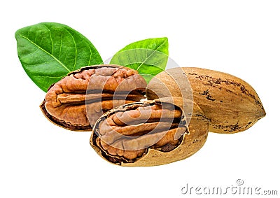 Three cracked pecan nuts with green leaves macro shot Stock Photo
