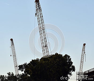 Three cranes hard at work Stock Photo