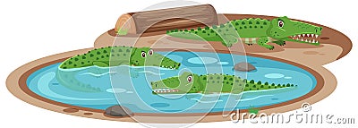 Three crocodiles in the pond on white background Vector Illustration