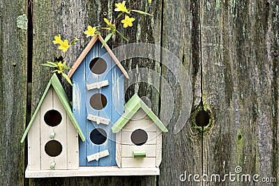 Three Cute Little Birdhouses On Wooden Fence With Flowers 