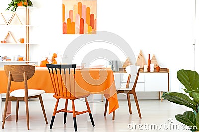 Three different chairs placed by the long dining table with orange Stock Photo