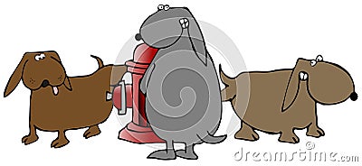 Three Dogs Peeing On A Fire Hydrant Cartoon Illustration
